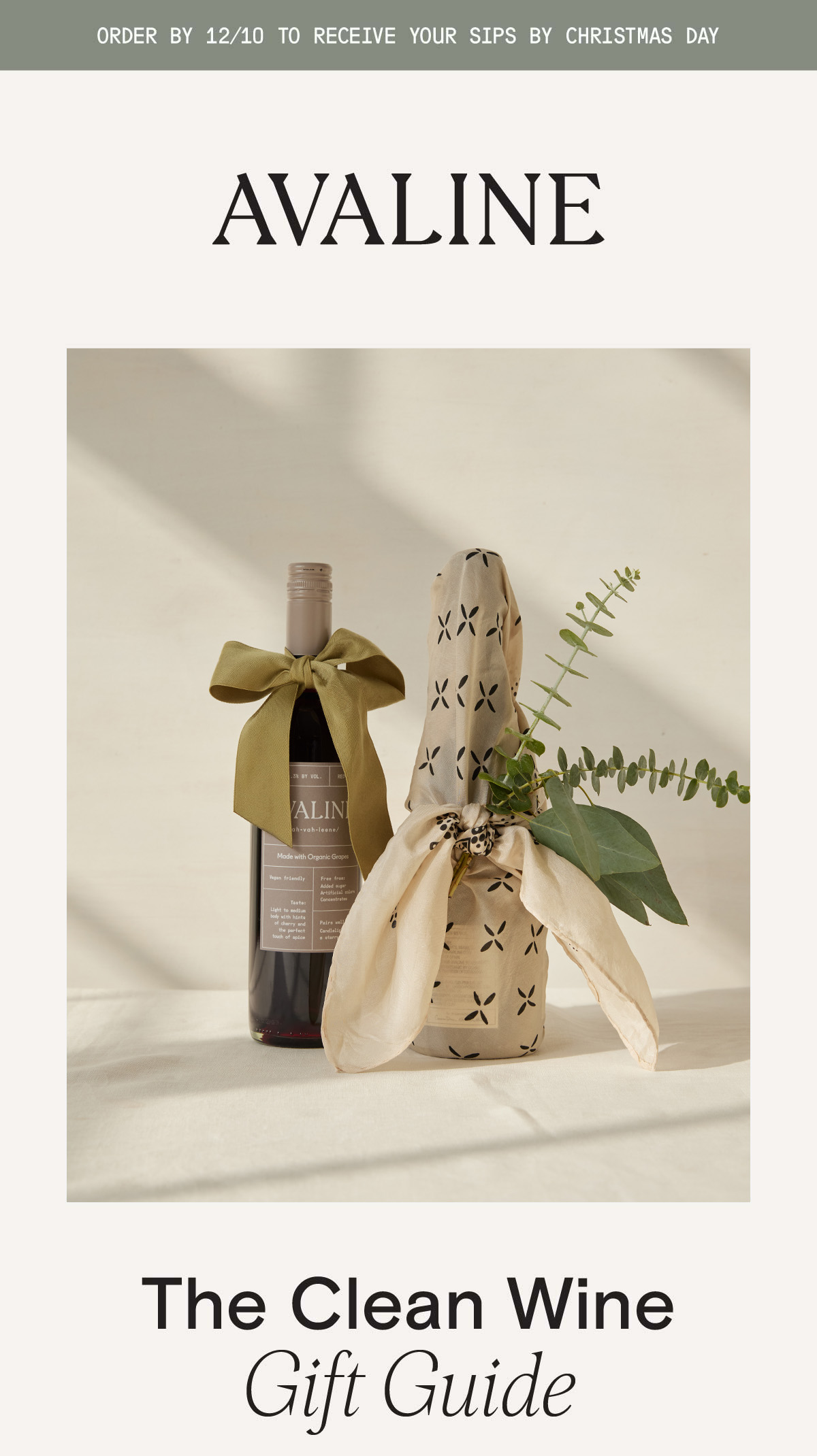 Our Holiday Gift Guide